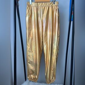 Iridescent Gold Pants